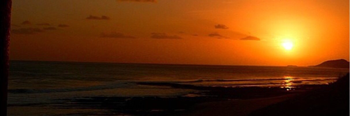 CPHL11's profile banner image