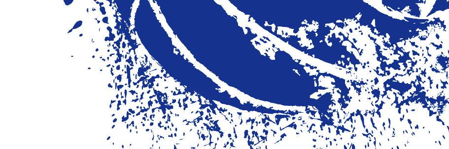 United Volleys banner