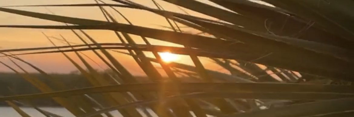 CristineDelgado's profile banner image
