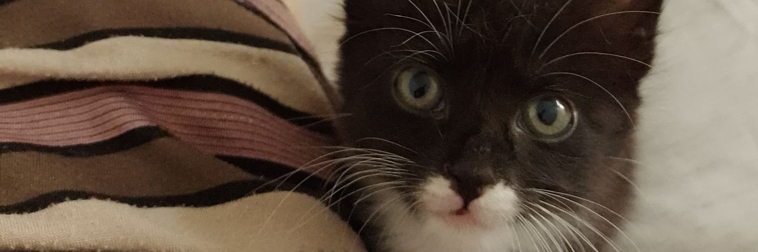 kdnotavailable's profile banner image