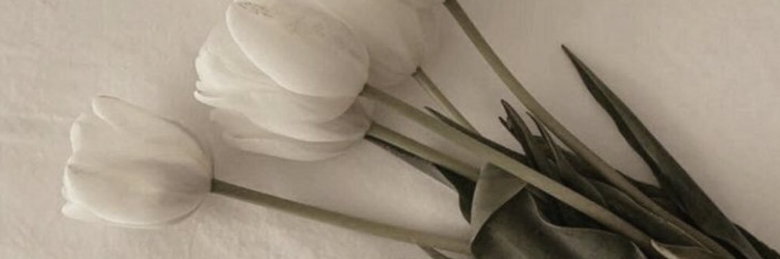 frrochi's profile banner image