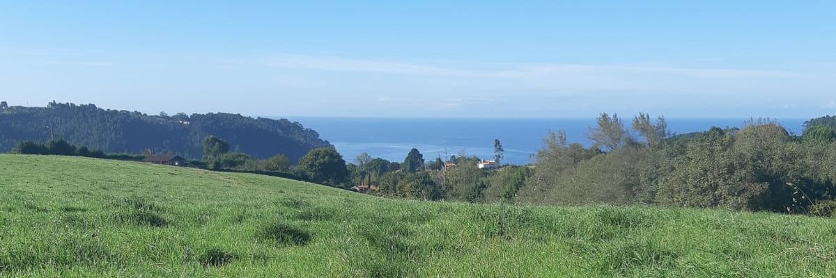 Rebeca Díaz Olmo banner