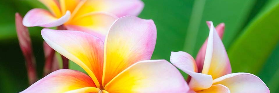 dcartwright999's profile banner image