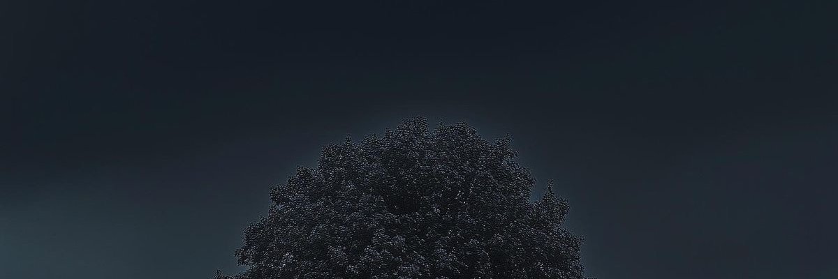 ana caroline banner