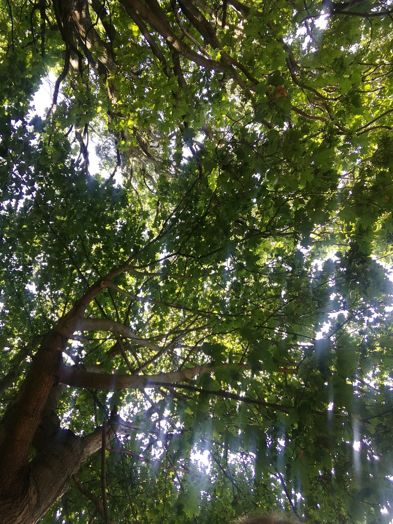 HpPajala's profile banner image