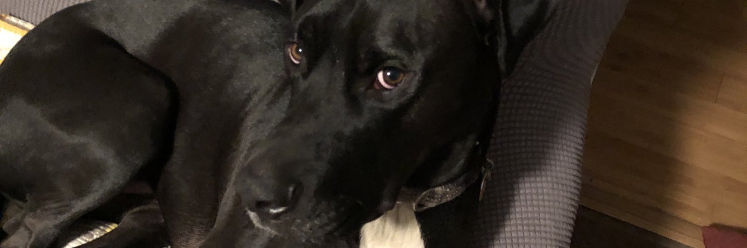 TylerSexton11's profile banner image