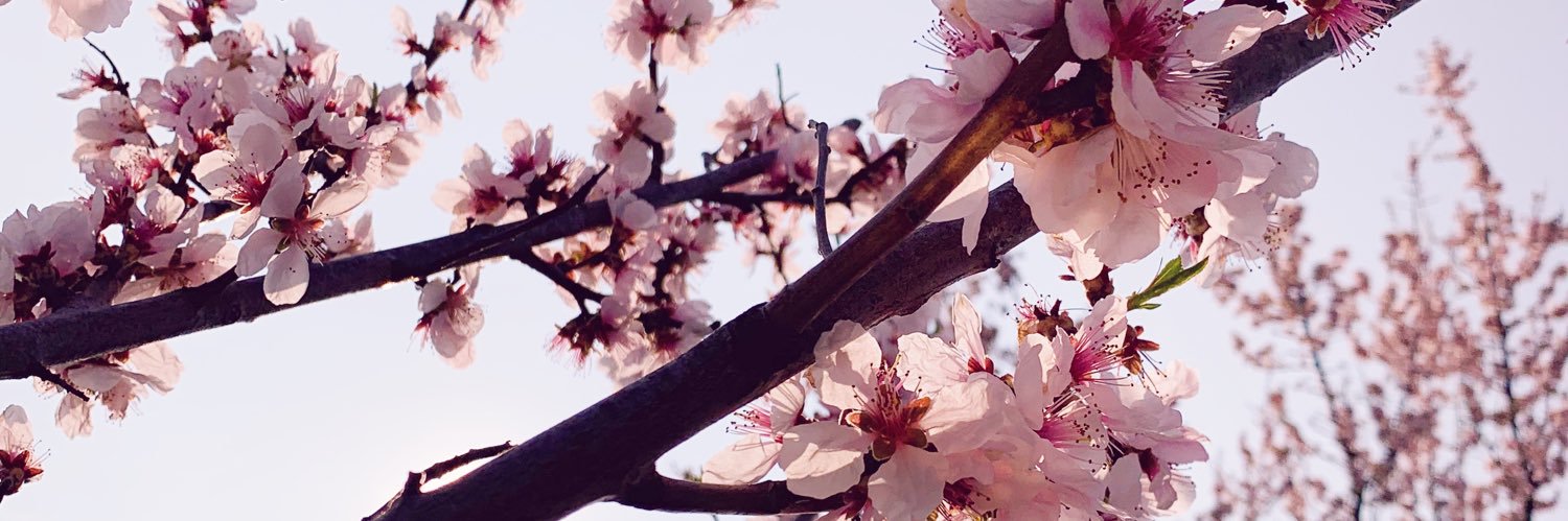 lenaa251's profile banner image