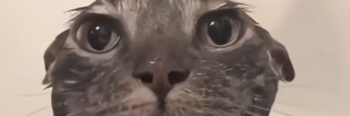 Stanrat69's profile banner image