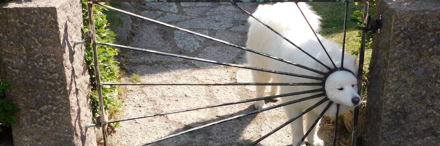 Lennon Sherburne banner