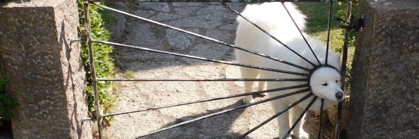 lennonheadd Profile Banner