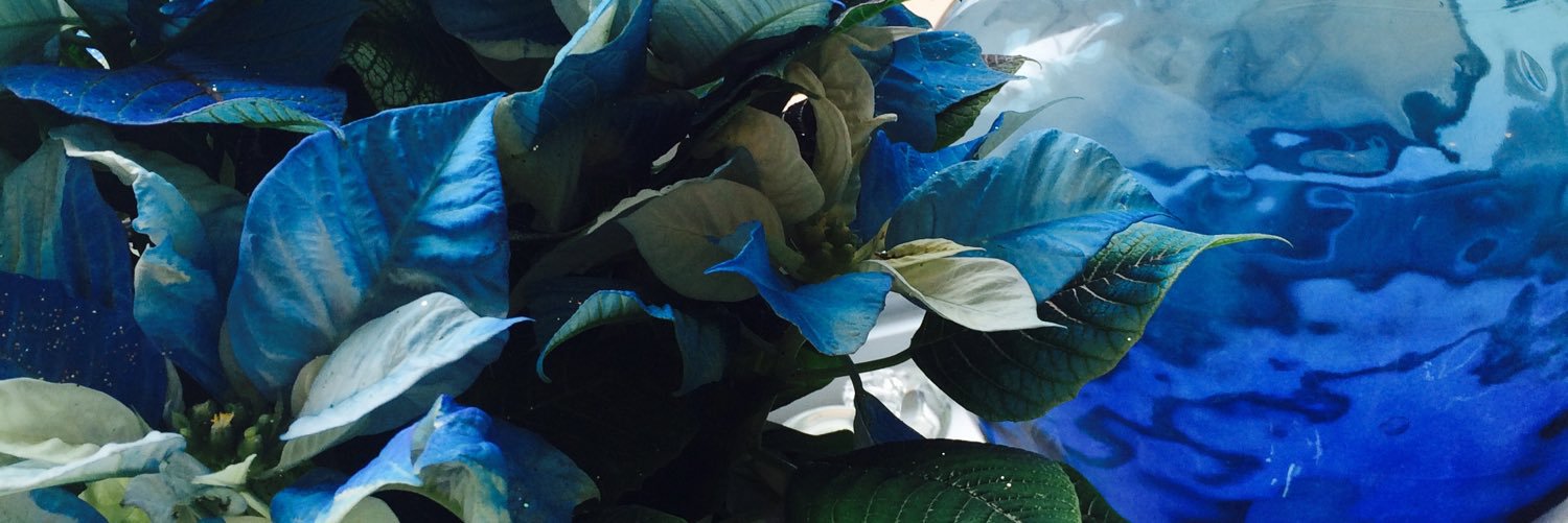 Susanhonderich's profile banner image