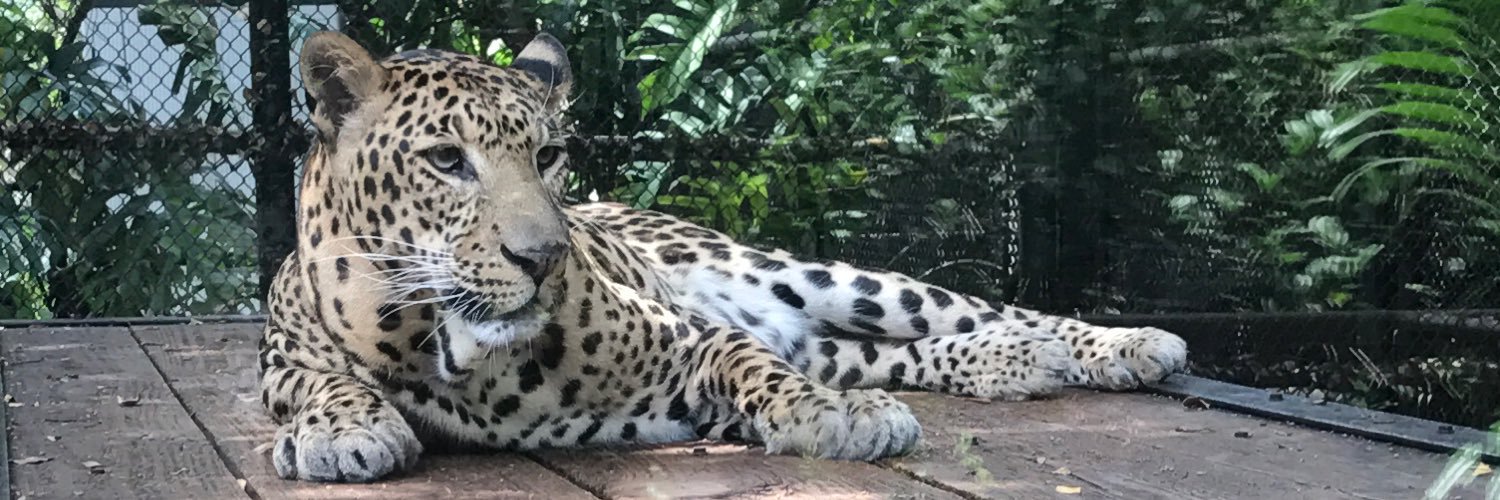 karhenrequiz's profile banner image
