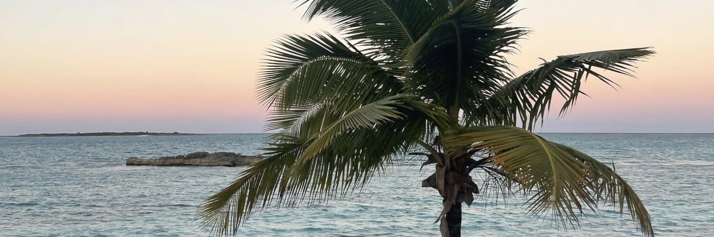 Soitshaley's profile banner image