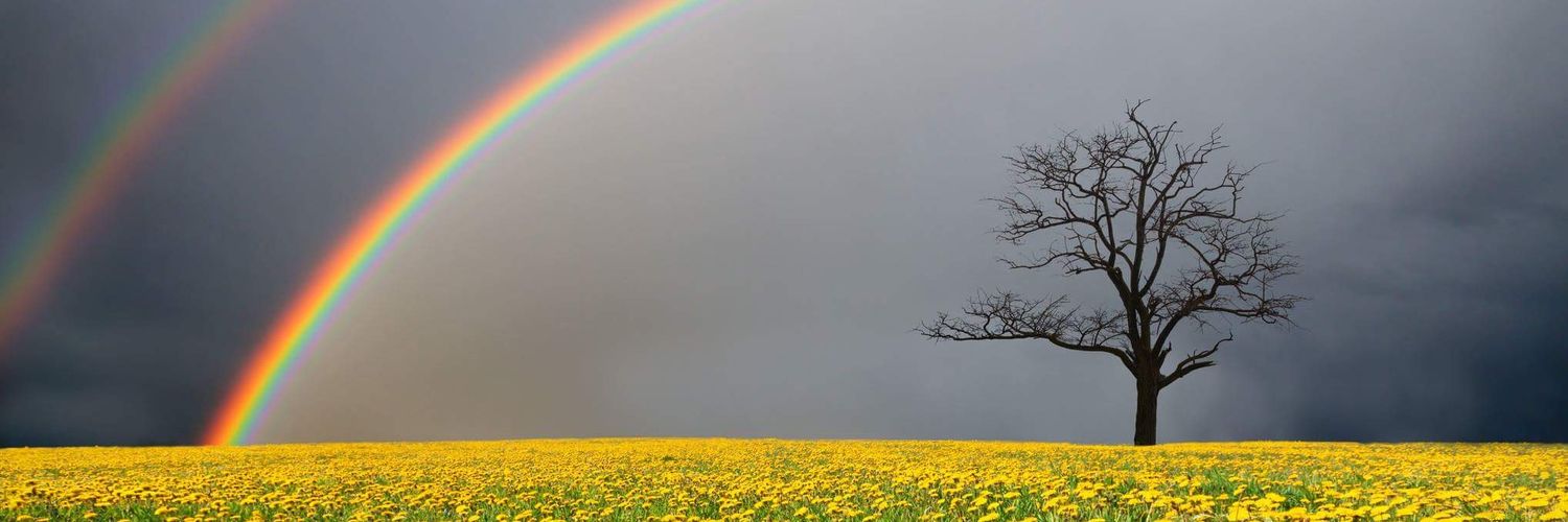rufatweets's profile banner image