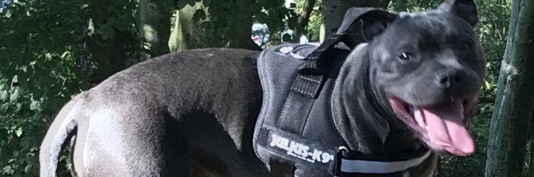 Jamesbooth111's profile banner image