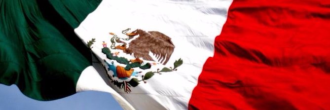 Rogelio Cerda Pérez banner