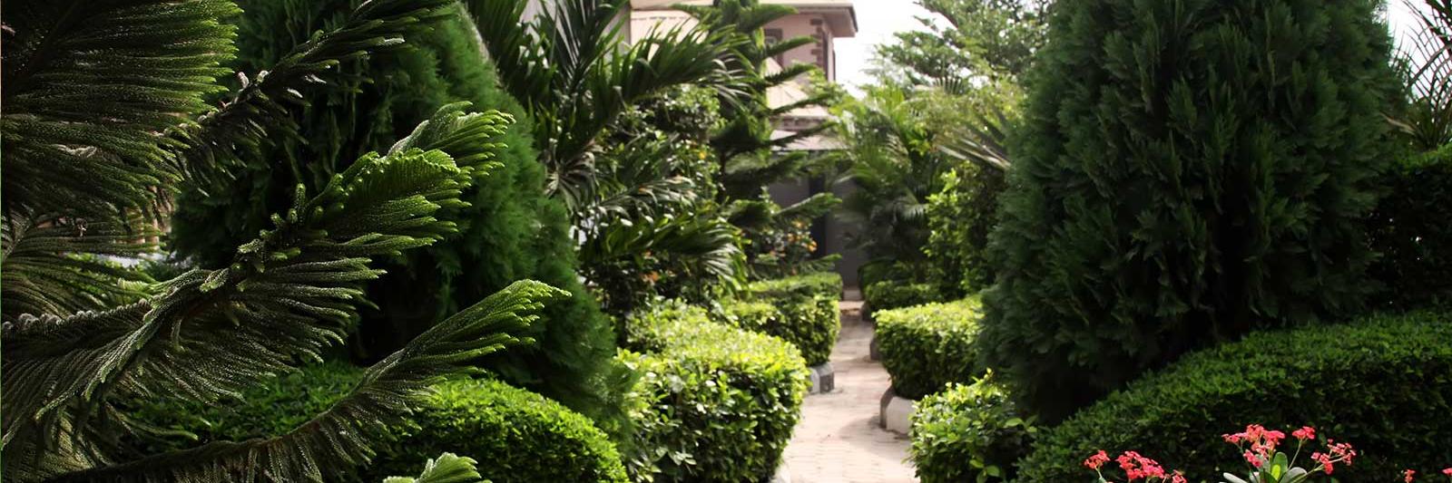 npggarden's profile banner image
