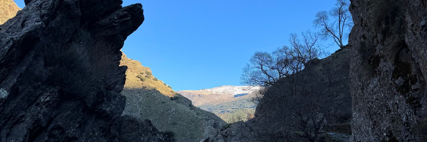 Edykaims's profile banner image