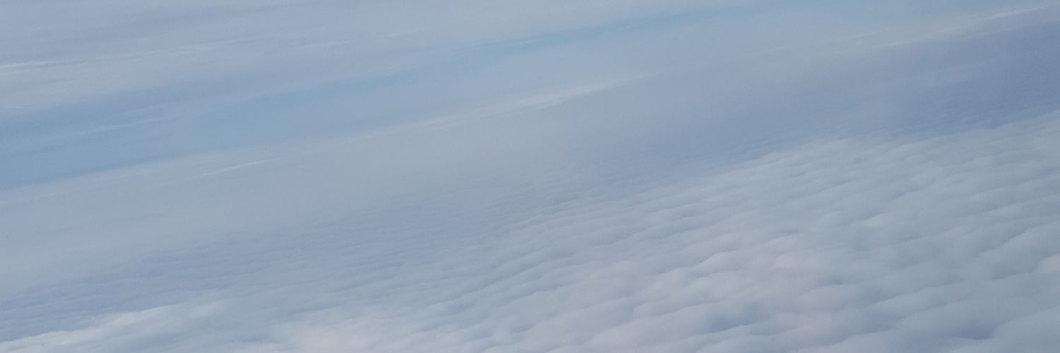 Bejaflor972's profile banner image