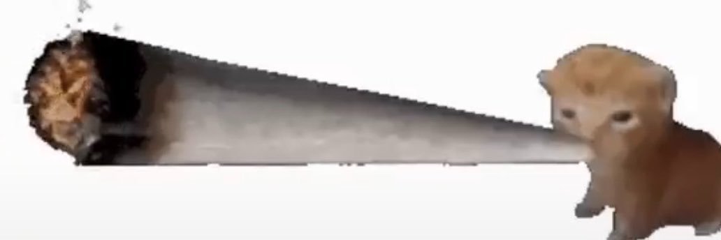 sinforiisa's profile banner image