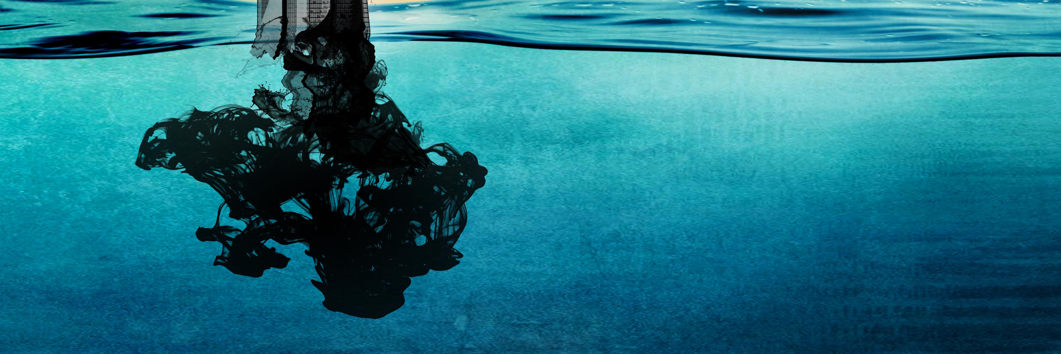 SouthernWildT's profile banner image
