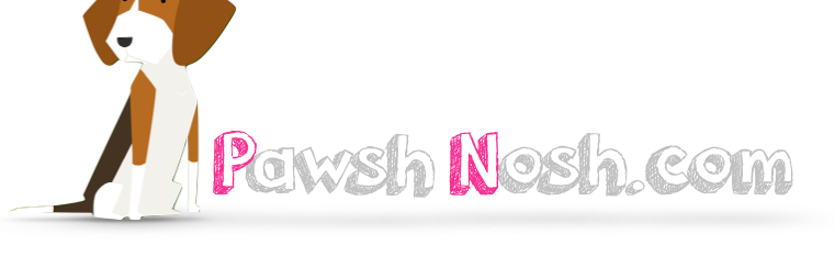 PawshNosh's profile banner image