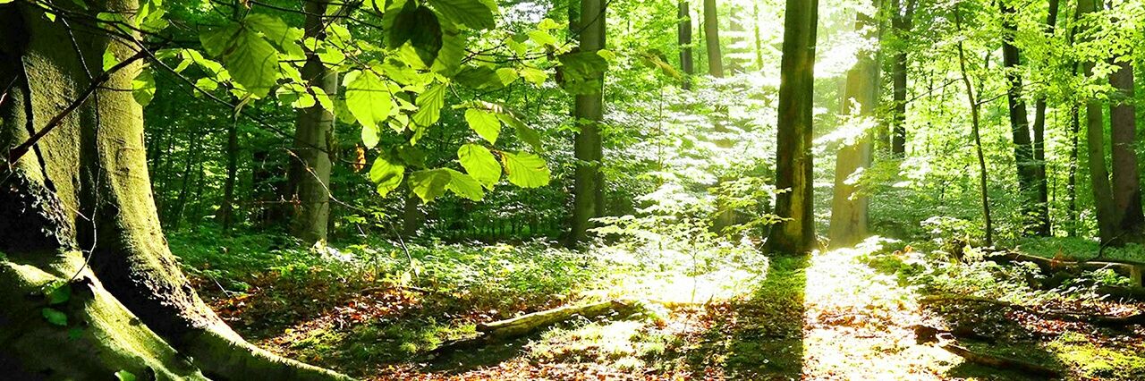 valu_41's profile banner image