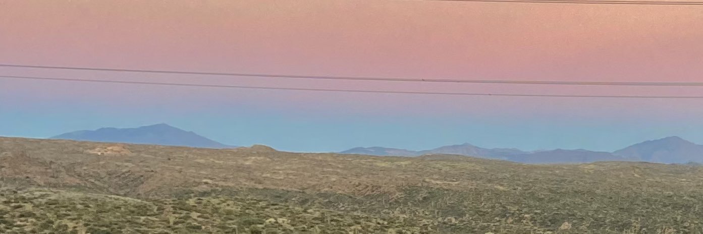 Ella Schott banner