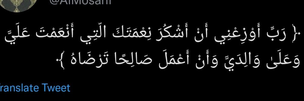 𓂆 🇵🇸🔻 banner