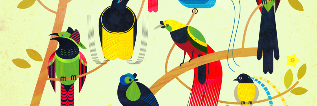 RobinJPerkins's profile banner image