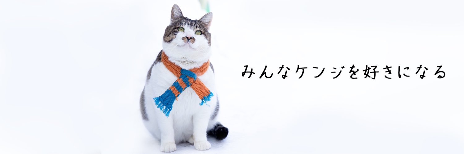 土肥美帆/写真家's banner
