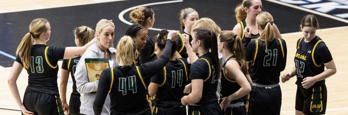 DelVal Women’s Basketball banner