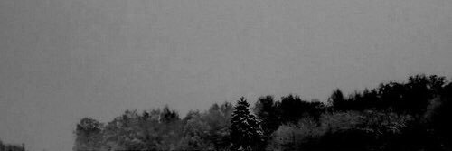 FearlessDaryl's profile banner image