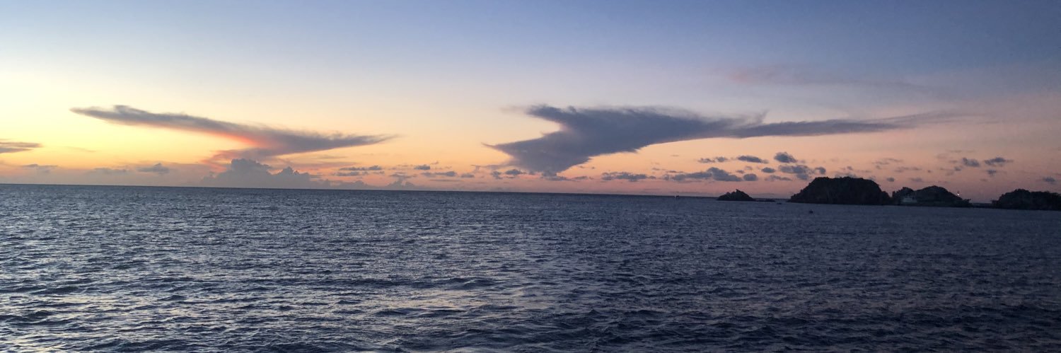 Sofia Tomacruz banner