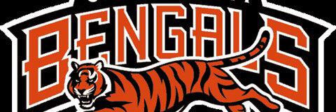 Cincinnati BenGals banner