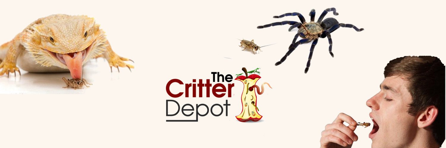 TastyCrickets's profile banner image