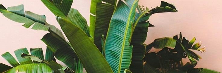 taayyk__'s profile banner image
