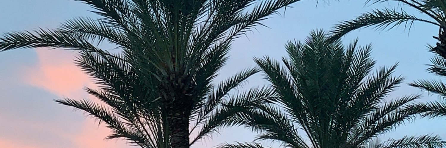 madisonlummus's profile banner image