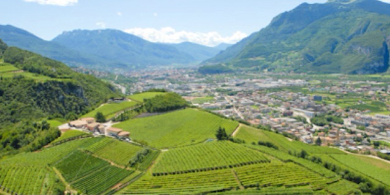 Ignazio Moser banner