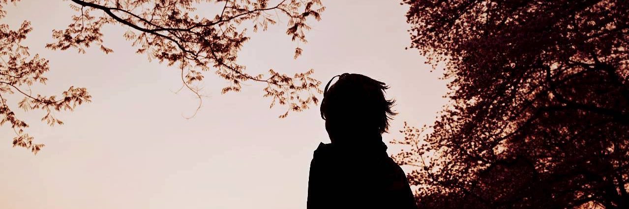 葵 banner