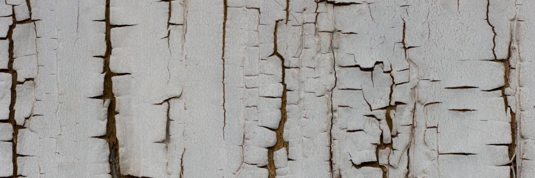 QNDDK's profile banner image