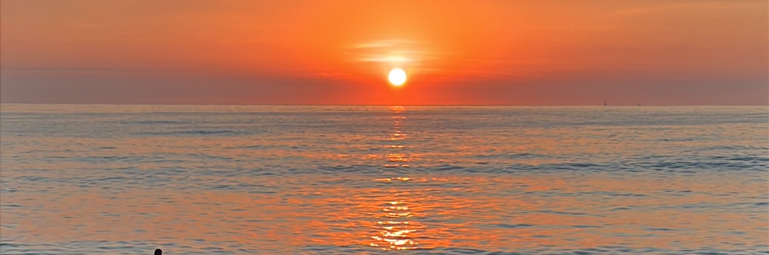 fpnojento10's profile banner image