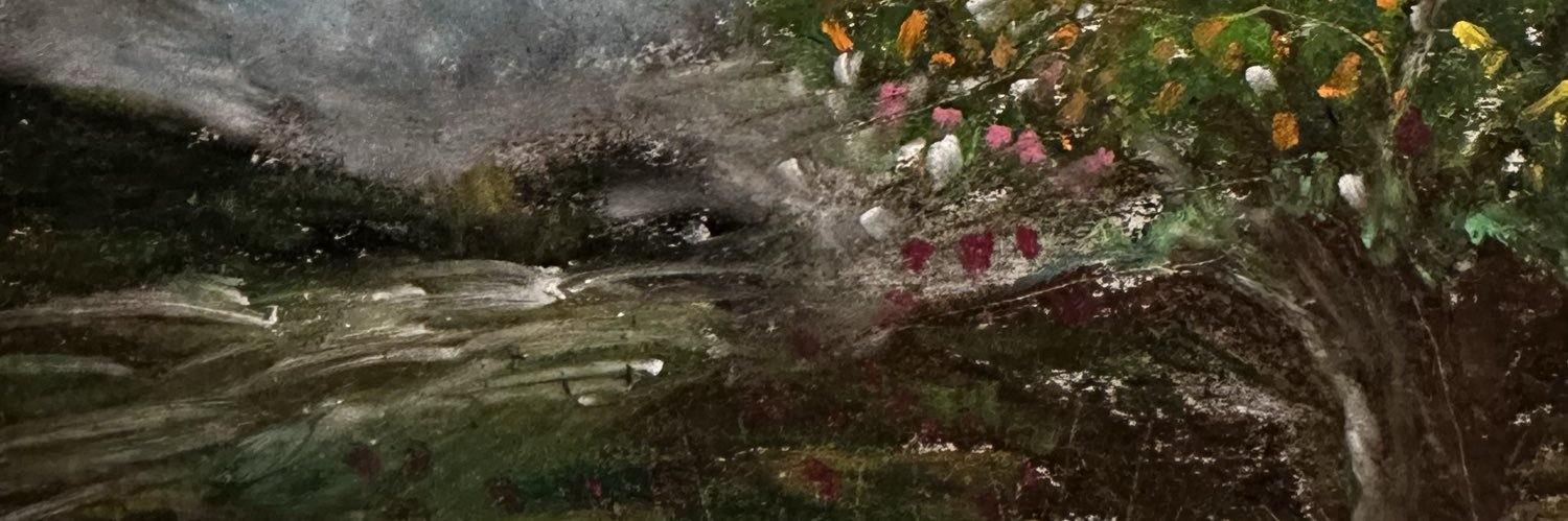 BelloneAmy's profile banner image