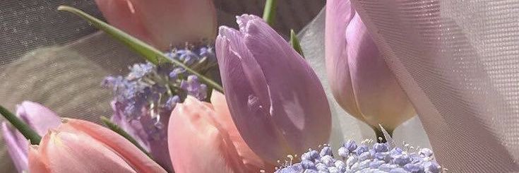 sydneyoden's profile banner image