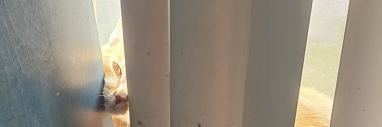Magicalcobra's profile banner image
