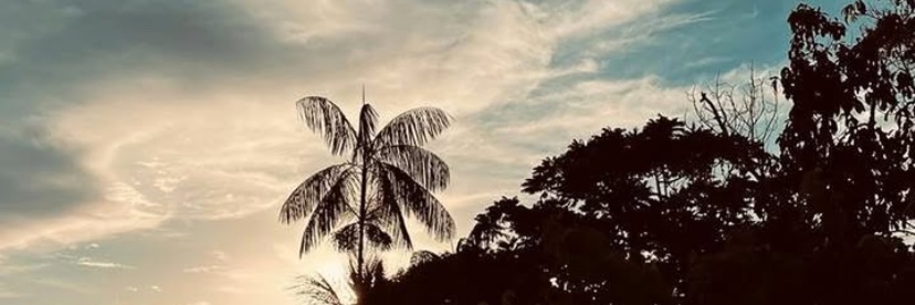 Kams_Reis's profile banner image