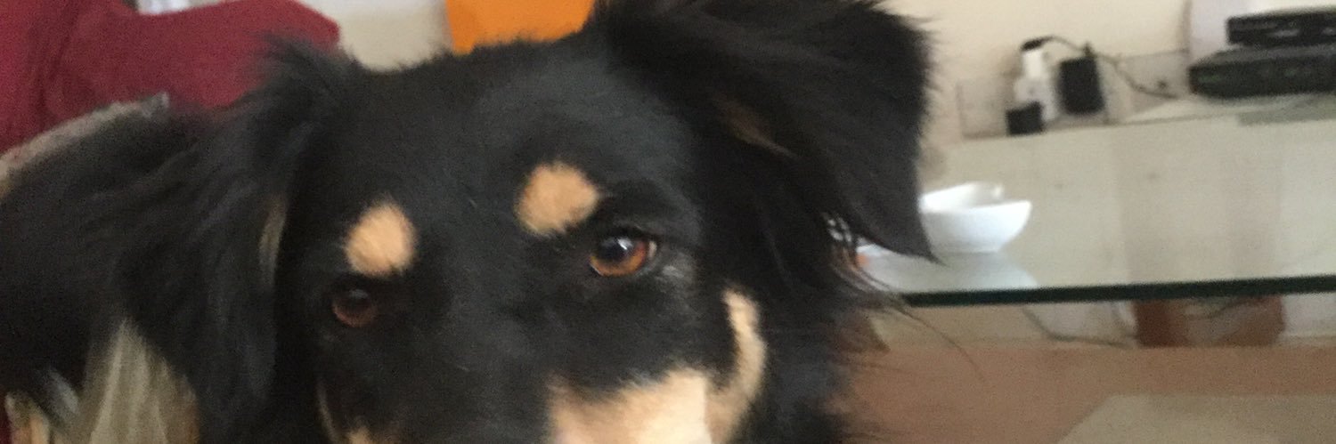 KyrPach's profile banner image