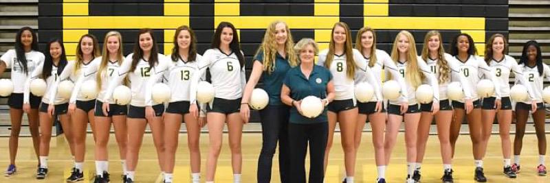 husky_vball's profile banner image