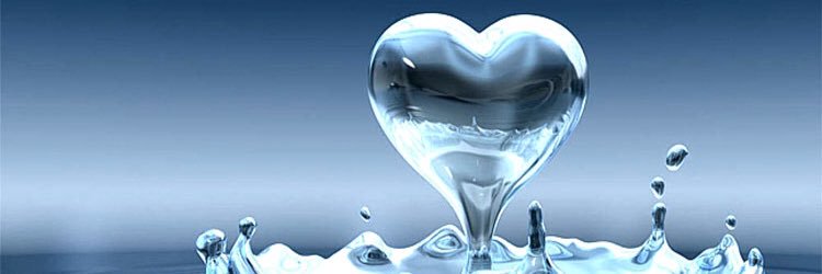 DonamosVida's profile banner image