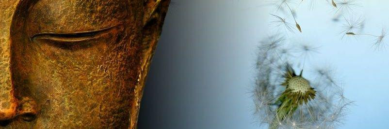 Francisc Drake banner